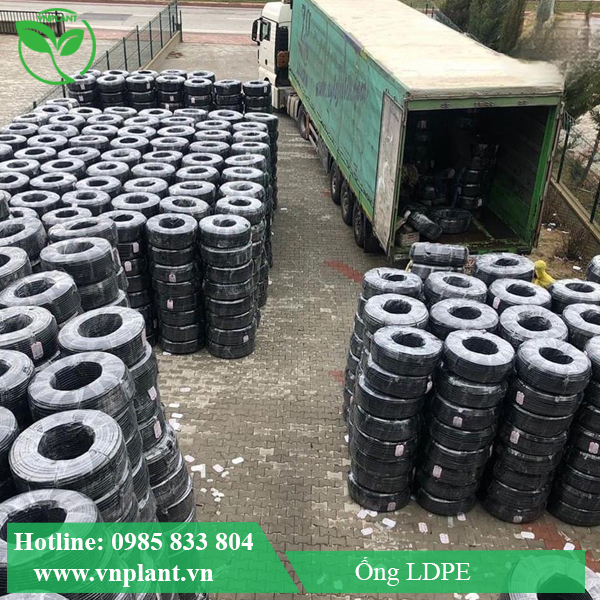 Ống ldpe sản xuất tại nhà máy